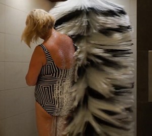 BODYBRUSH